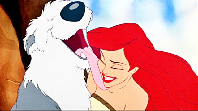 Küçük Denizkızı Fotoğrafı