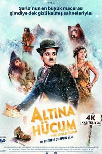 Altına Hücum (1925) afişi