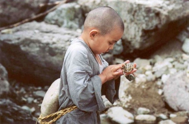 İlkbahar Yaz Sonbahar Kış Ve İlkbahar Fotoğrafı