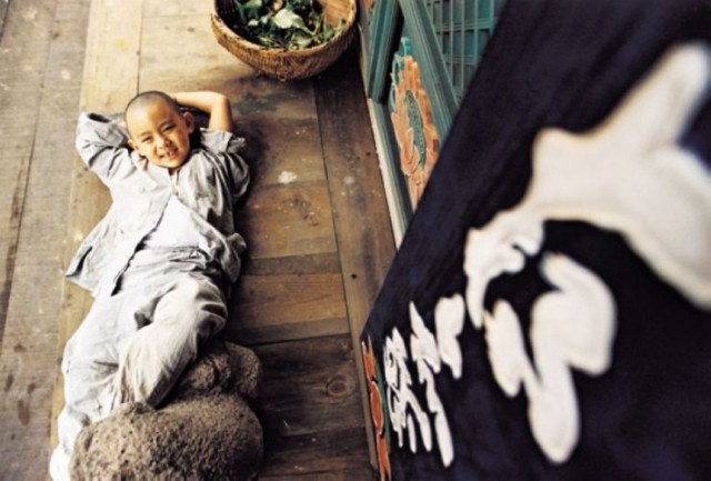 İlkbahar Yaz Sonbahar Kış Ve İlkbahar Fotoğrafı