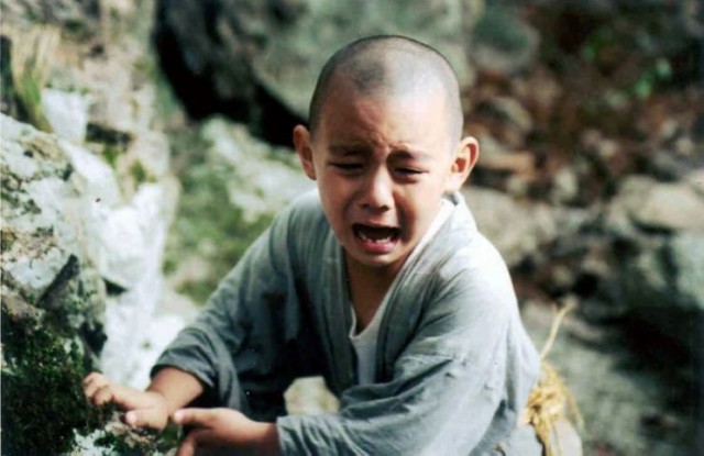 İlkbahar Yaz Sonbahar Kış Ve İlkbahar Fotoğrafı