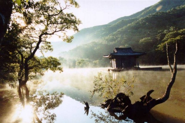 İlkbahar Yaz Sonbahar Kış Ve İlkbahar Fotoğrafı