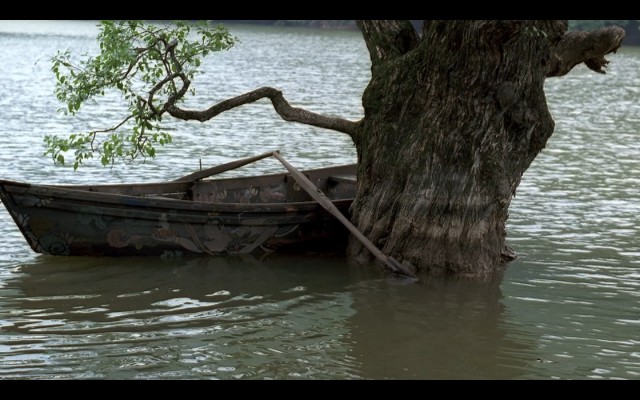 İlkbahar Yaz Sonbahar Kış Ve İlkbahar Fotoğrafı