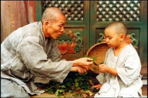 İlkbahar Yaz Sonbahar Kış Ve İlkbahar Fotoğrafı