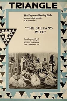 The Sultan's Wife (1917) afişi