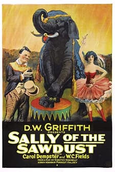 Sally Of The Sawdust (1925) afişi
