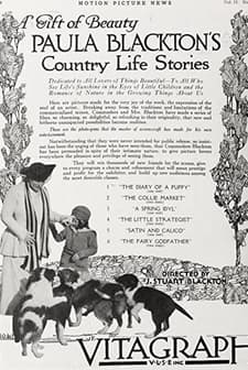 The Collie Market (1917) afişi