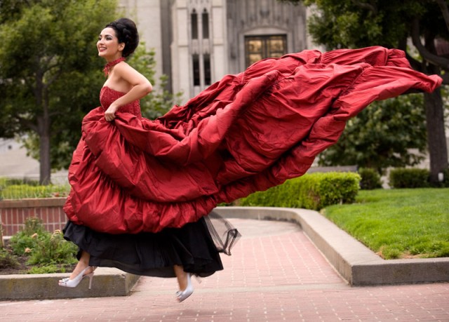 Irreversi fotoğrafı