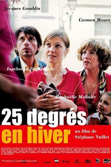 25 degrés en hiver (2004) afişi