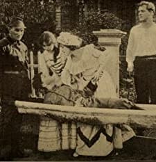 The Fighting Schoolmaster (1911) afişi