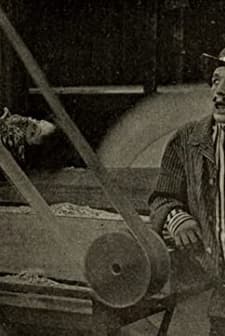 Luke Foils the Villain (1916) afişi