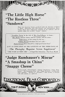 Smash-Up in China (1919) afişi