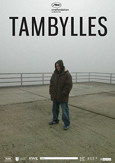 Tambylles (2012) afişi
