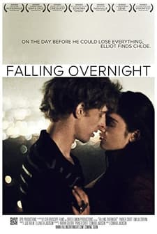Falling Overnight (2011) afişi
