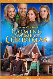 Coming Home for Christmas (2013) afişi