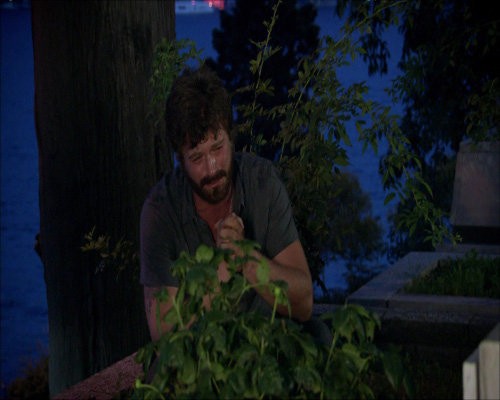 Aşk-ı Memnu Fotoğrafı