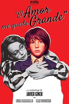 Aşkla Başa Çıkamıyorum (2014) afişi