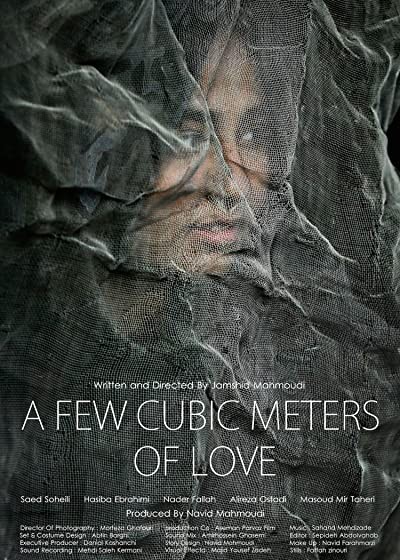 Küçük Bir Aşk Hikayesi (2014) afişi