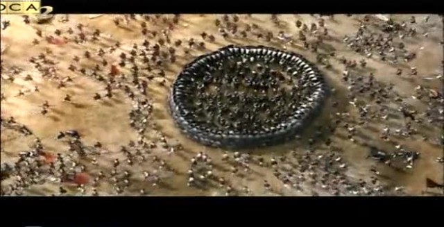 Kızıl Uçurum Fotoğrafı