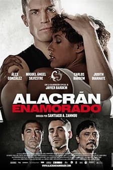 Akrebin Aşkı (2013) afişi