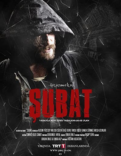 Şubat (2012) afişi