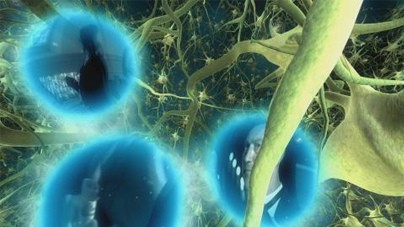 Ne Biliyoruz Ki!? fotoğrafı