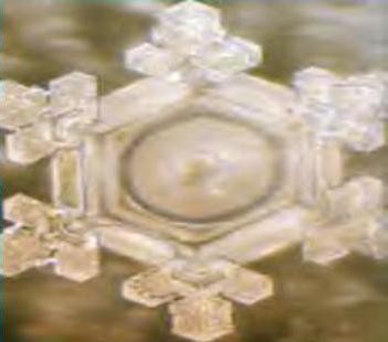 Ne Biliyoruz Ki!? fotoğrafı