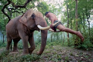 Koruyucu Fotoğrafı