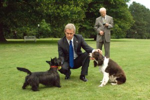 W: Beyaz Saray Fotoğrafı