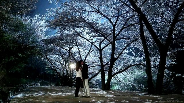 A Gentleman's Dignity Fotoğrafı