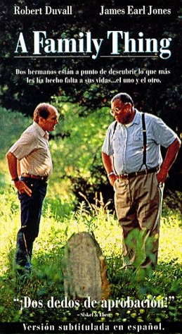 Bir Aile Sorunu (1996) afişi
