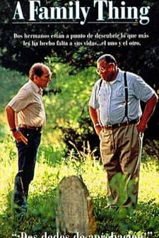 Bir Aile Sorunu (1996) afişi