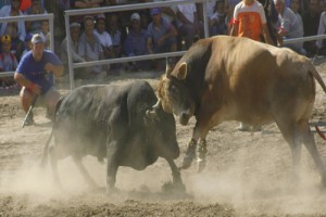 Dondurmam Gaymak Fotoğrafı