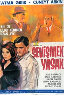 Sevişmek Yasak (1965) afişi