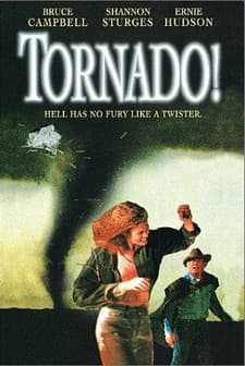 Tornado (1996) afişi