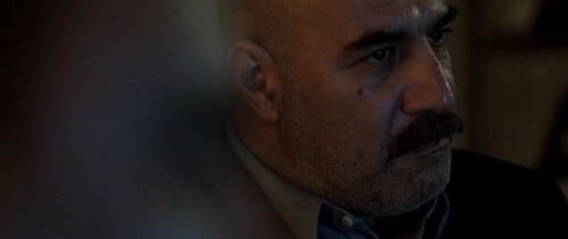 Yeşil Bölge Fotoğrafı