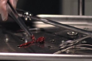 The Morgue fotoğrafı