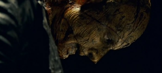 Kanlı Deney Fotoğrafı