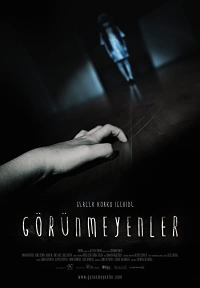 Görünmeyenler (2012) afişi
