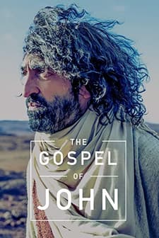 The Gospel of John (2014) afişi