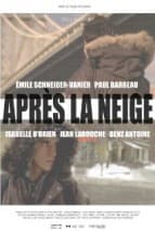 Après la neige afişi