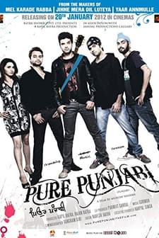 Pure Punjabi (2012) afişi