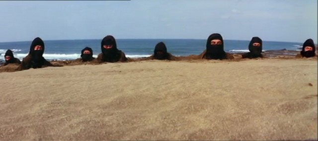 Ninja in the Dragons Den Fotoğrafı