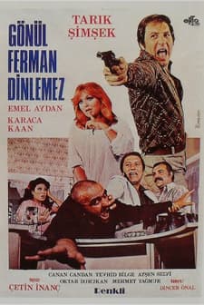 Gönül Ferman Dinlemez (1977) afişi