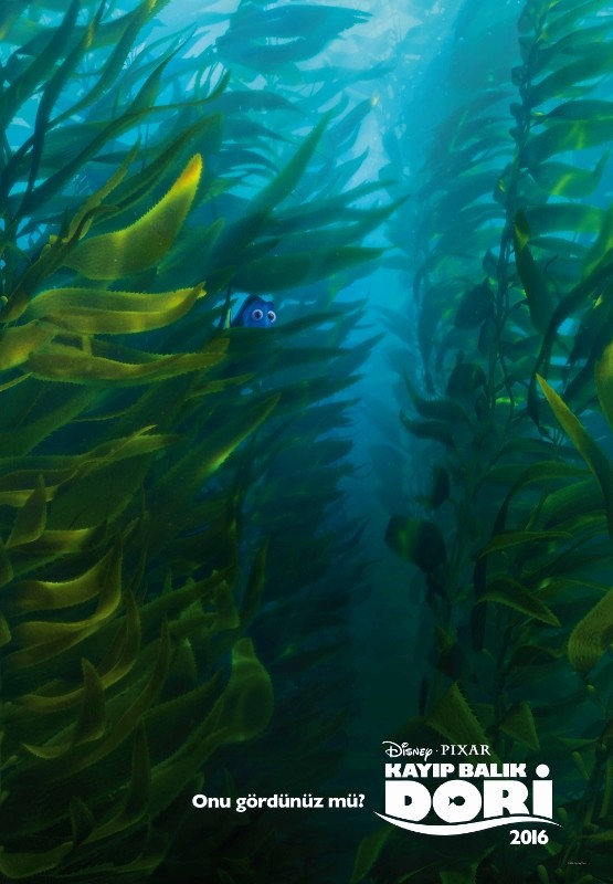 Kayıp Balık Dori Fotoğrafı