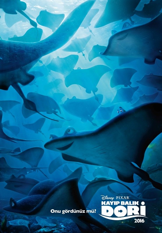 Kayıp Balık Dori Fotoğrafı