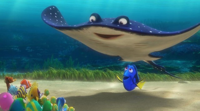 Kayıp Balık Dori Fotoğrafı