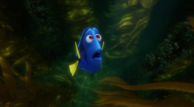 Kayıp Balık Dori Fotoğrafı