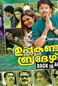 Uppukandam Brothers Back in Action (2011) afişi