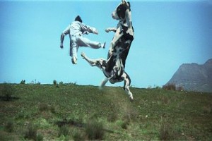 Dövüş Sanatı fotoğrafı